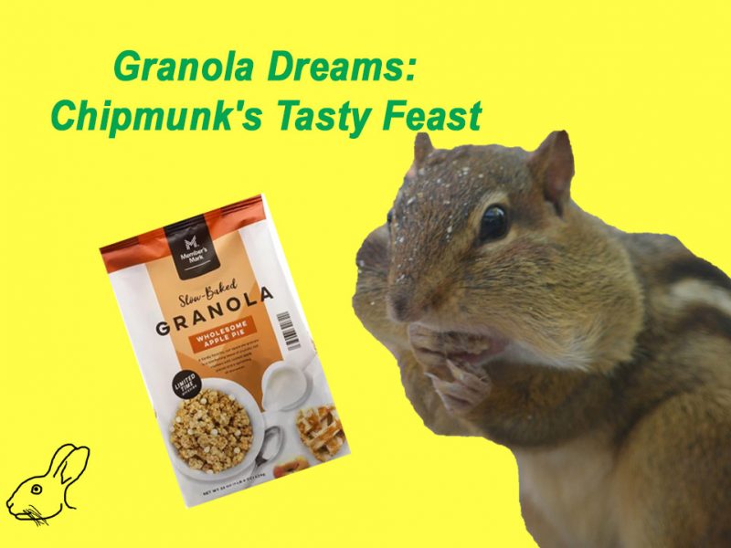 Chipmunk eats Apple Pie granola